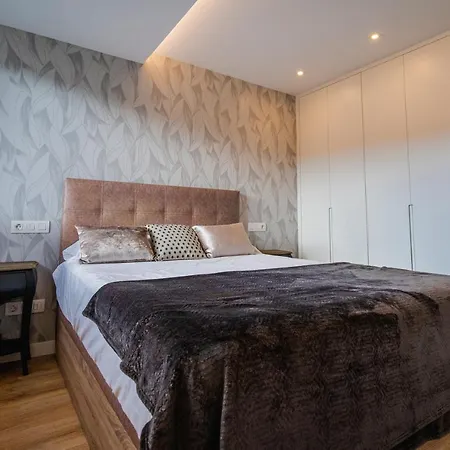 Apartment Alfonso X *